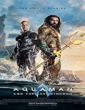 Film Aquaman and the Lost Kingdom 2023 Subtitle Indonesia