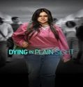 Film TV Movie Dying in Plain Sight 2024 Subtitle Indonesia