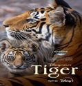 Film Dokumenter Tiger 2024 Sub Indo